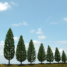 model trees